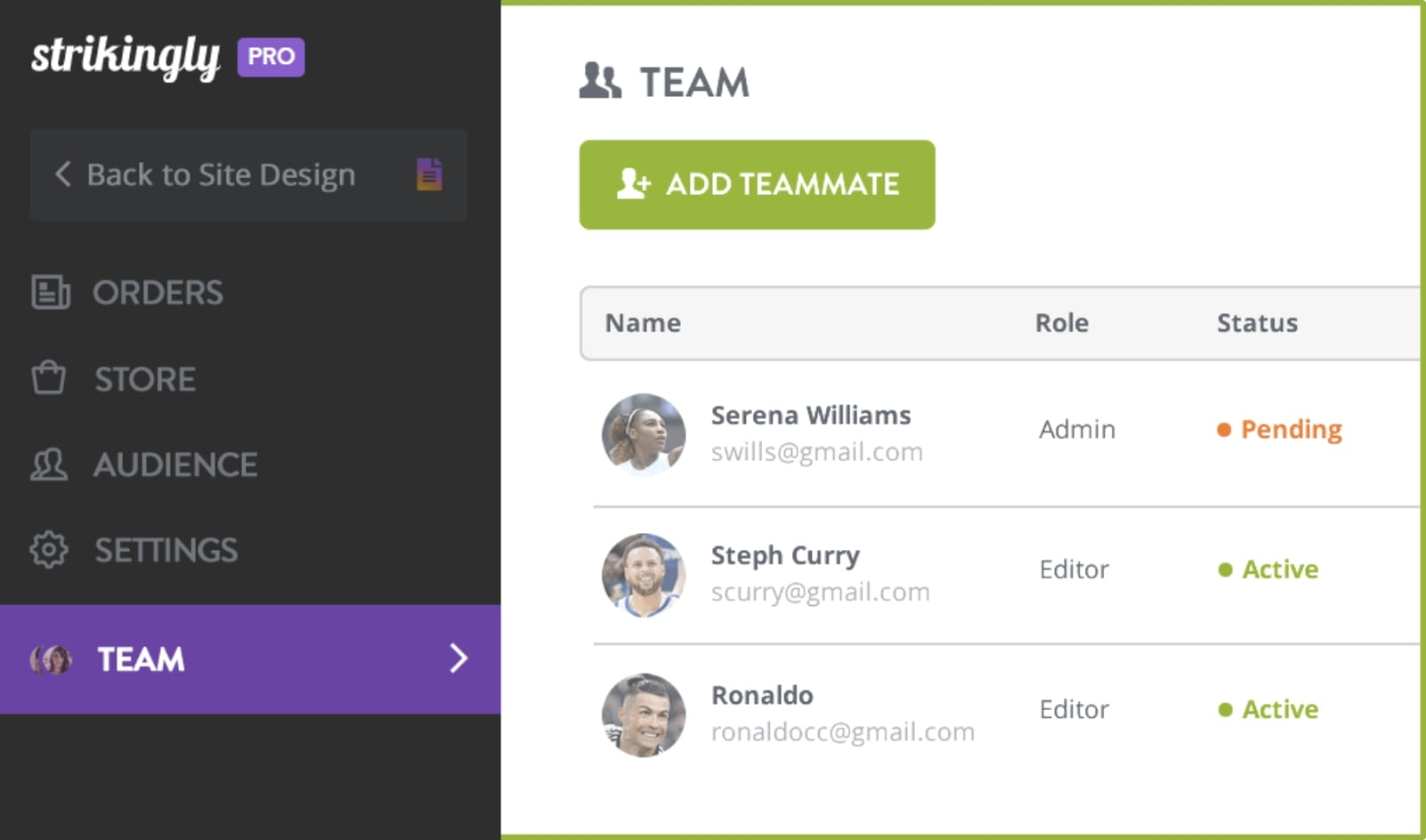 Strikingly Team Feature Strikingly Team Feature